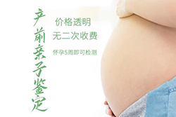 吉林省怀孕DNA鉴定流程，吉林省产前亲子鉴定出结果要多久