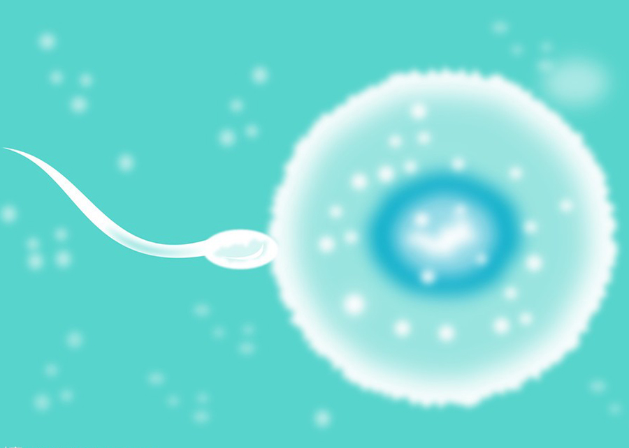 信阳怀孕三个月能办理怀孕亲子鉴定吗,信阳办理无创怀孕亲子鉴定多少费用 信阳怀孕三个月能办理怀孕亲子鉴定吗,信阳办理无创怀孕亲子鉴定多少费用