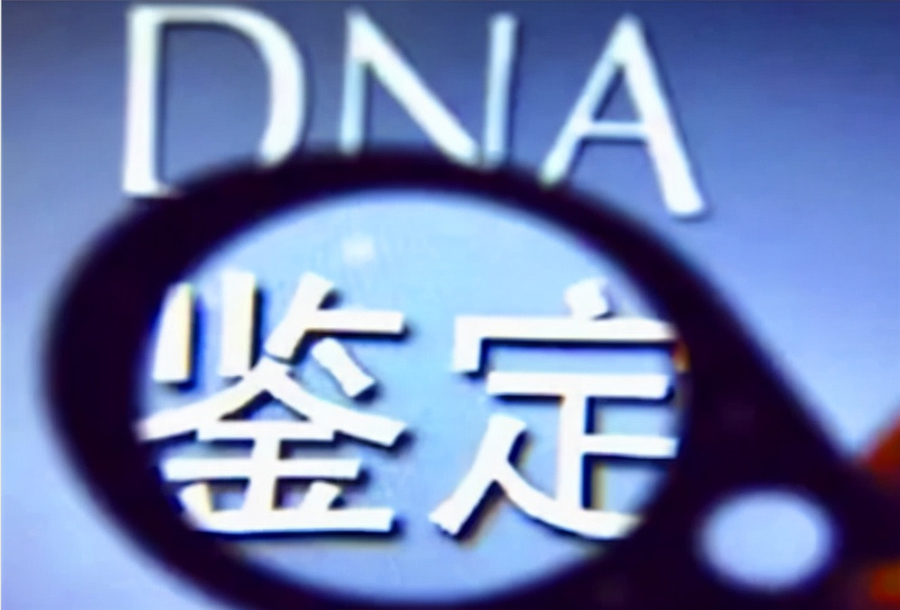 上海人民医院能办理血缘检测吗,上海医院做DNA鉴定办理流程指南