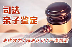 甘肃司法亲子鉴定多少钱，甘肃专业司法DNA亲子鉴定中心