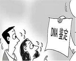 吐鲁番隐私DNA亲子鉴定要多少钱的费用，吐鲁番匿名亲子鉴定需要什么流程