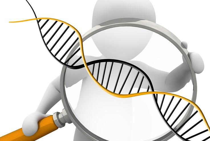太原迁户DNA亲子鉴定需要怎么做呢,太原落户亲子鉴定多久出结果